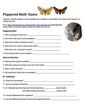 peppered moth game